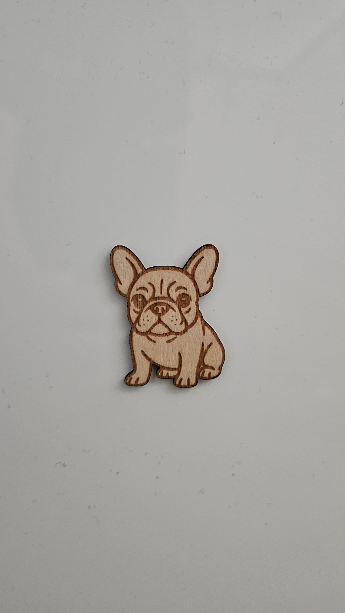 Koira magneetti, Ranskanbuldoggi
