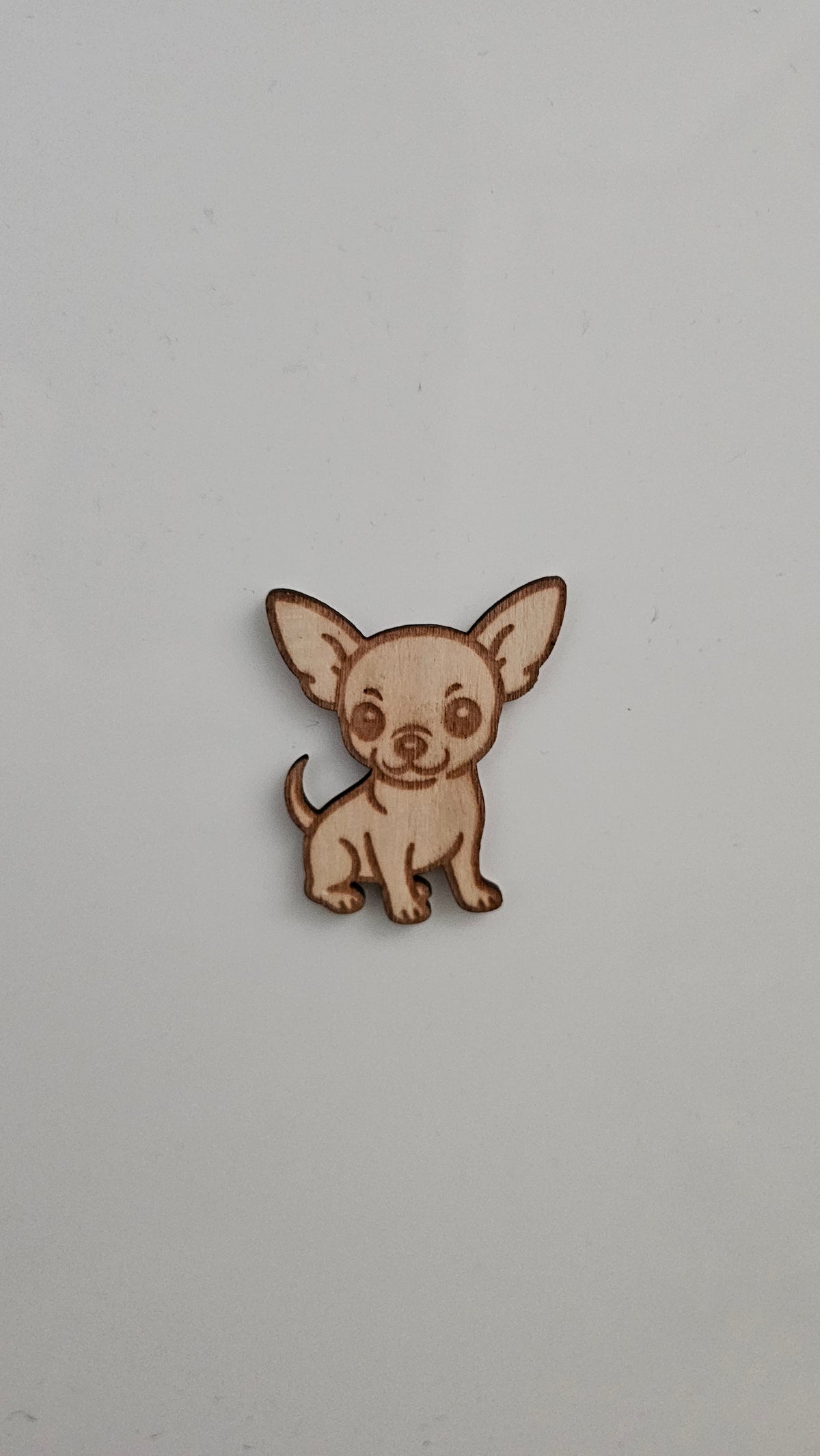 Koira magneetti, Chihuahua
