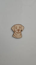 Koira magneetti, Labradorinnoutaja