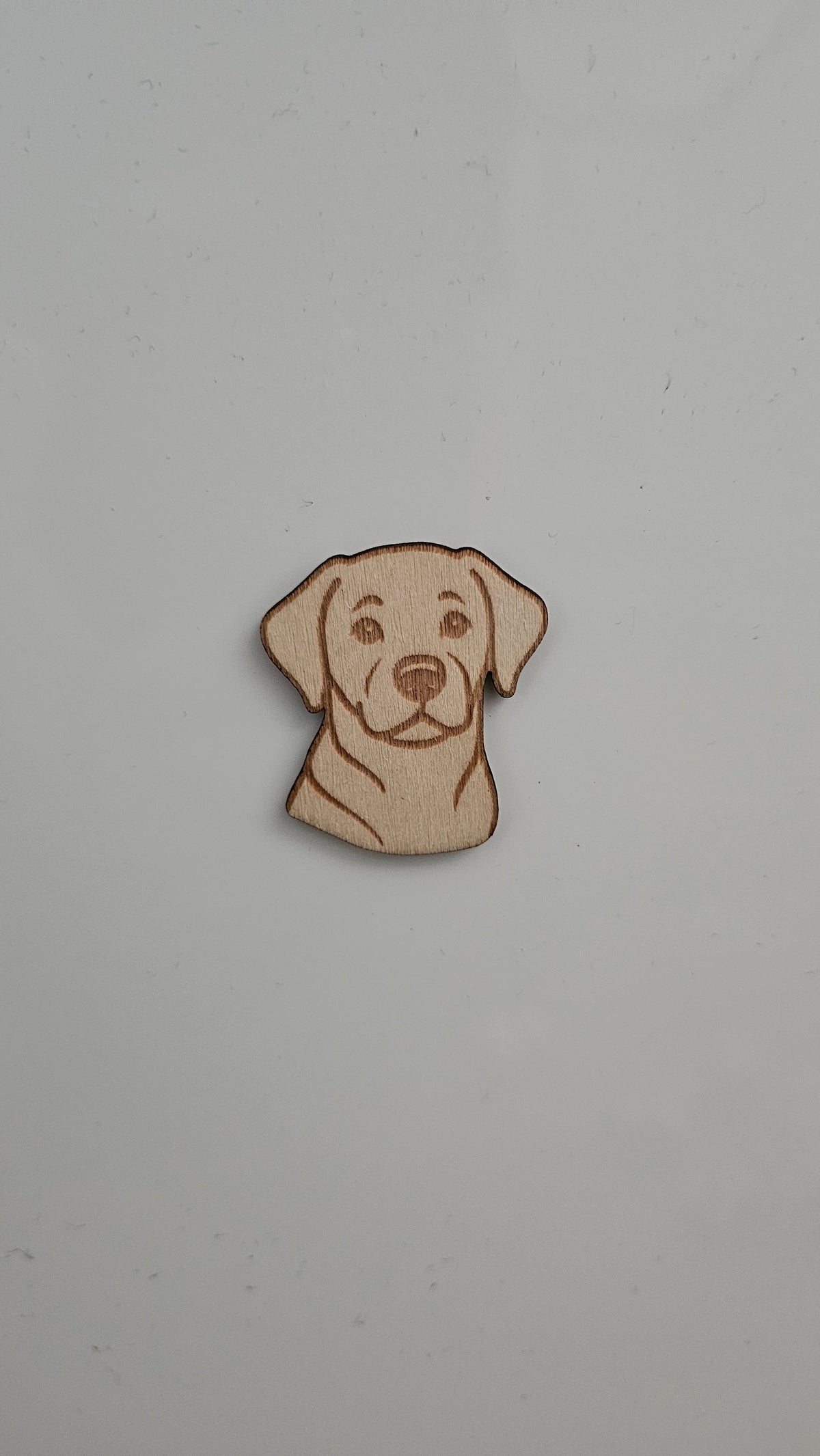 Koira magneetti, Labradorinnoutaja