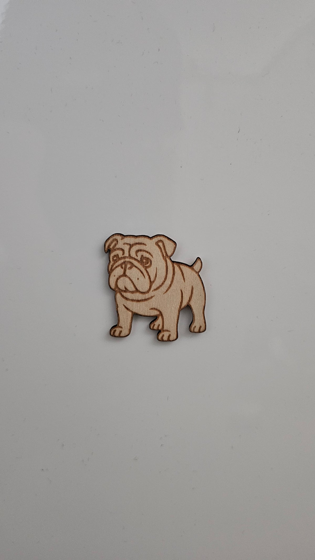 Koira magneetti, Englanninbulldoggi